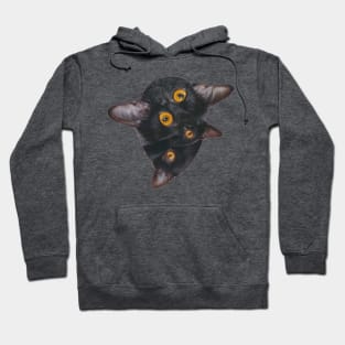 Cat Behelit Hoodie